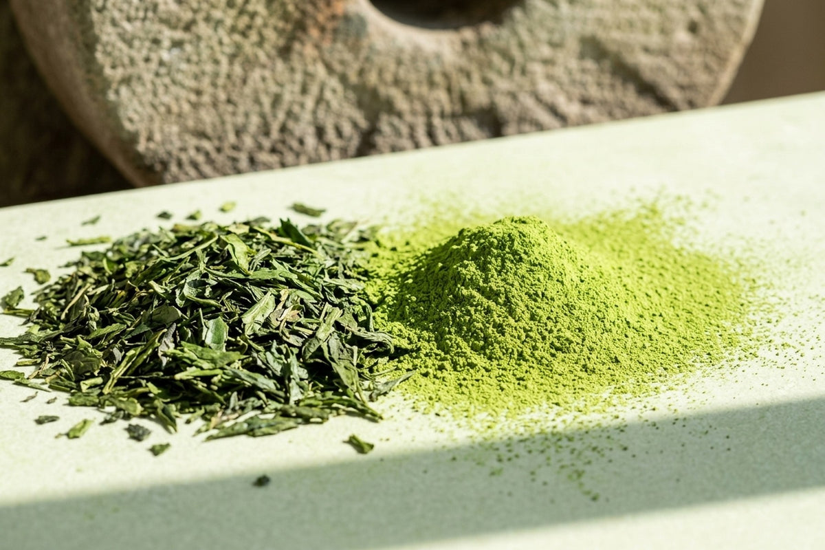 Gölgelenmiş çay yaprağı ve yanında ince öğütülmüş matcha tozu, arkada taş değirmen